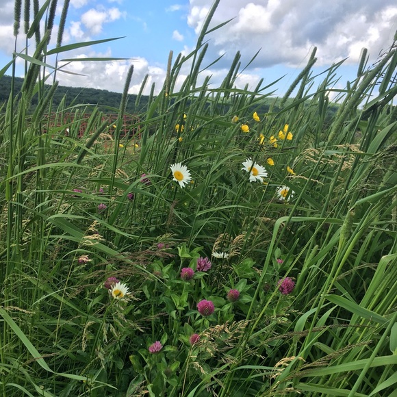 Meet your Posher, Marie - Picture 4 of 8